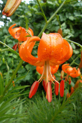 Similar image 5444062