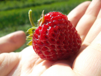 Similar image 5444063