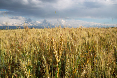 Similar image 5444065