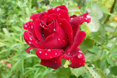 Similar image 5444066