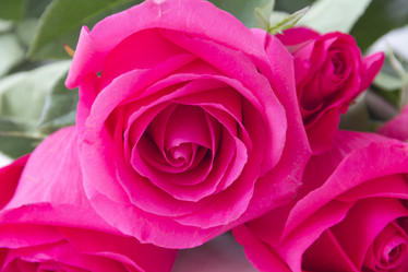 Similar image 5444080