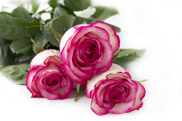 Similar image 5444082