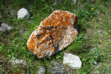 Similar image 5444087