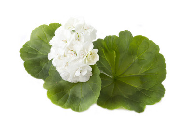 Similar image 5444088