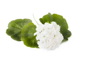 Similar image 5444090