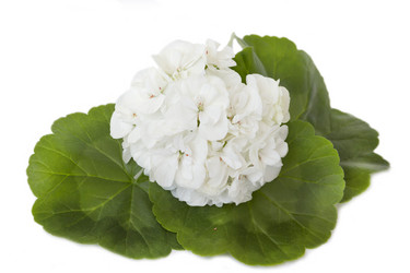 Similar image 5444091