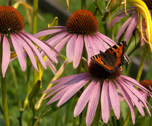 Similar image 5444108