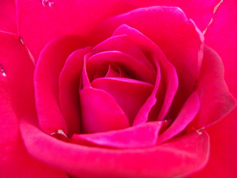 Similar image 5444123