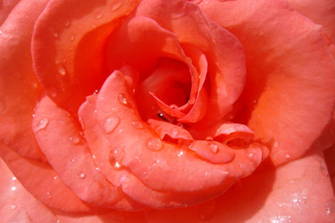 Similar image 5444124