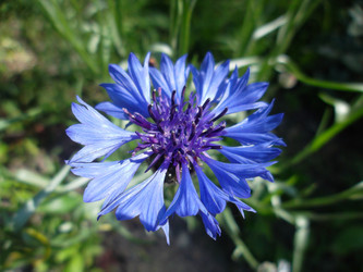 Similar image 5444125