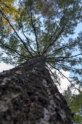 Similar image 5444126