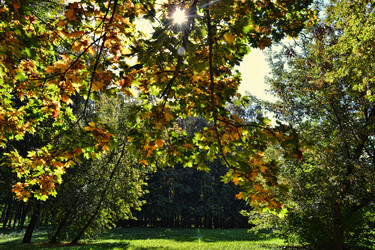 Similar image 5444127