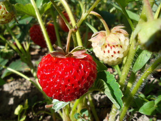 Similar image 5444146