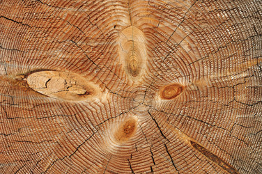 Similar image 5444155