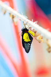 Similar image 5444159