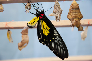 Similar image 5444160