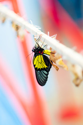 Similar image 5444161