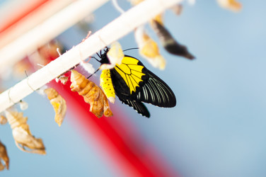 Similar image 5444162