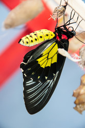 Similar image 5444163