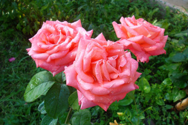 Similar image 5444166