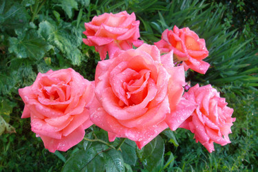 Similar image 5444167