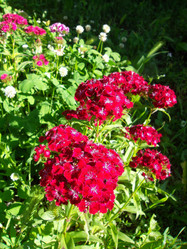 Similar image 5444182