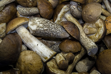 Similar image 5444242