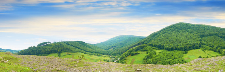 Similar image 5444262