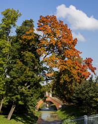 Similar image 5444299