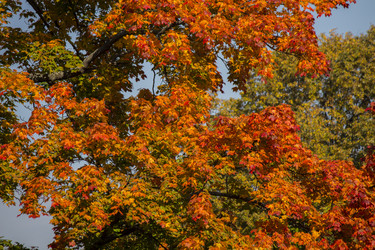 Similar image 5444300