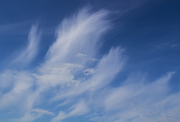 Similar image 5444303