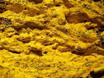 Similar image 5444355