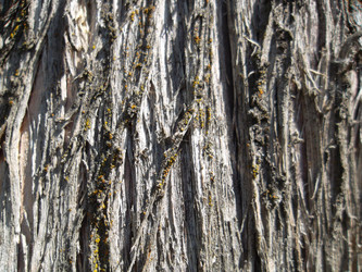 Similar image 5444357