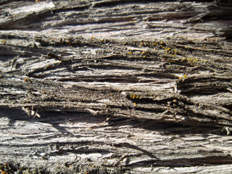 Similar image 5444358