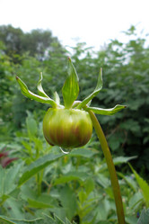 Similar image 5444359