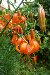 Similar image 5444361