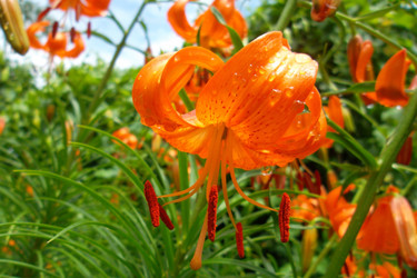 Similar image 5444362