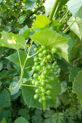 Similar image 5444363