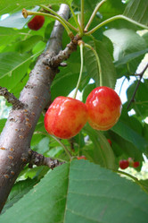 Similar image 5444366