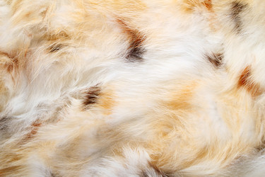 Similar image 5444369