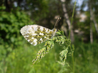 Similar image 5444382