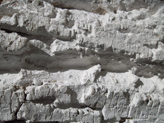 Similar image 5444385