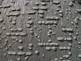 Similar image 5444386