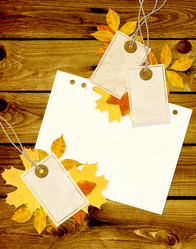 Similar image 5444456