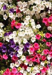 Similar image 5444471