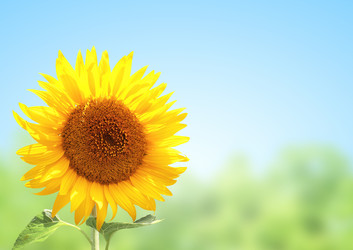 Similar image 5444473