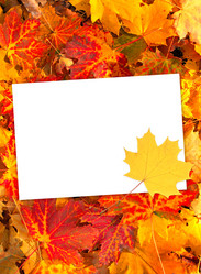 Similar image 5444477