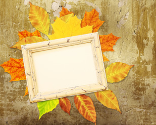 Similar image 5444480