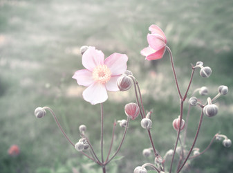 Similar image 5444485