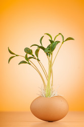 Similar image 5444669